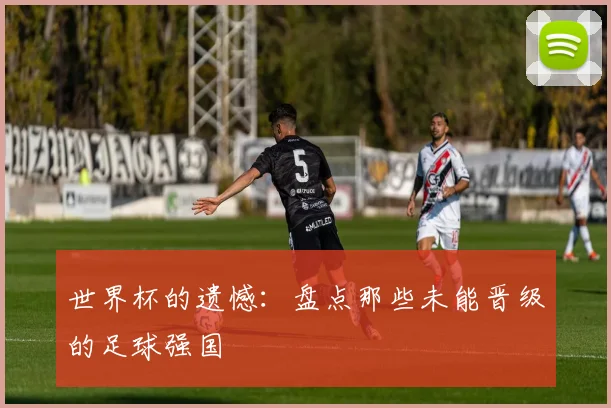 世界杯的遗憾：盘点那些未能晋级的足球强国