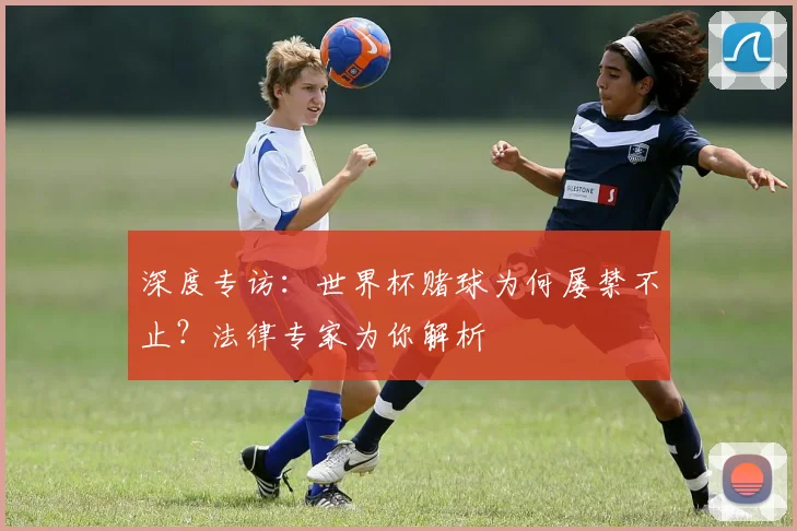 深度专访:世界杯赌球为何屡禁不止?法律专家为你解析